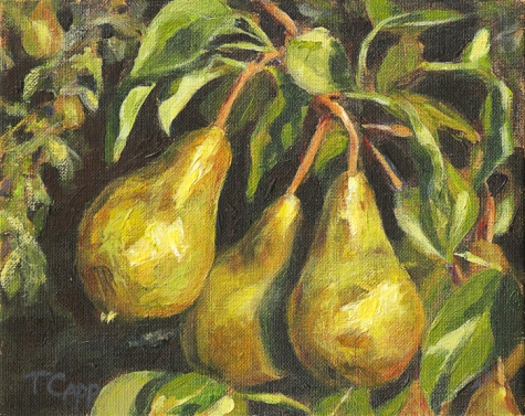 Bold ~ bosc pears in Hood River. 8"x 10" acrylic on canvas panel. $200-unframed. $265-framed. 